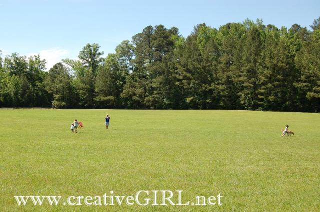 fieldofdreams_creativegirl_2013